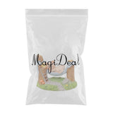 Max Miniature Animals Model Statue Fairy Garden Decor Toy Acting Cute Pig