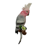 Max Simulation Parrot Bird Sculpture, Wall Hanging D