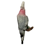 Max Simulation Parrot Bird Sculpture, Wall Hanging D