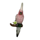 Max Simulation Parrot Bird Sculpture, Wall Hanging D