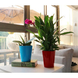 Max Self Watering Traditional Round Planter Pot  Red