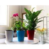 Max Self Watering Traditional Round Planter Pot  White