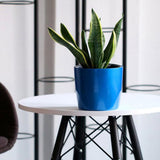 Max Self Watering Traditional Round Planter Pot  Blue