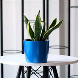 Max Self Watering Traditional Round Planter Pot  Blue
