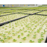 Max 5pcs Hydroponic Sponge Soilless Hydroponic Grow Plant B