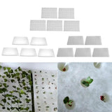 Max 5pcs Hydroponic Sponge Soilless Hydroponic Grow Plant B