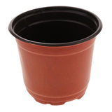 Max Double Color Seedlings Flower Plants Plastic Pots Nursery Container 120mm