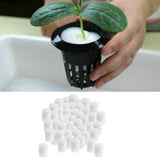 Max 50pcs Soilless Hydroponic Sponge Vegetable Plant Cultivation 19 x 25mm