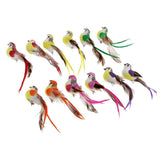 Max 12Pcs Artificial Foam Feather Birds Crafts Home Garden Decor  with Clip