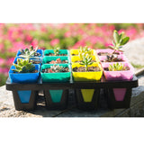 Max Succulent Plastic Flower Pot Plant Container Planting Insert Plug Tray B