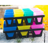 Max Succulent Plastic Flower Pot Plant Container Planting Insert Plug Tray B