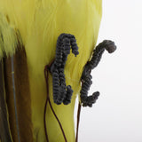 Max Parrot Artificial Bird Figurine Realistic Home Garden Decoration Ornaments C