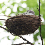 Max Artificial Hay Bird Nest & Feather Foam Birds & Bird Egg for Home Tree Decor