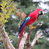 Max Artificial Bird Feather Foam Simulation Parrot Home Garden Decor B