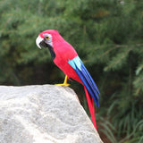 Max Artificial Bird Feather Foam Simulation Parrot Home Garden Decor B