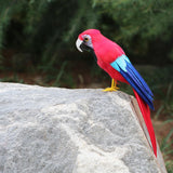Max Artificial Bird Feather Foam Simulation Parrot Home Garden Decor B