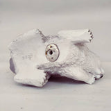 Max Resin Waving Squirrel Figurine Statue Outdoor Lawn Yard Decor Dance Gray