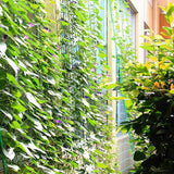 Max Nylon Trellis Netting Plant Support for Climbing Plants  180x270cm