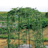 Max Nylon Trellis Netting Plant Support for Climbing Plants  180x270cm