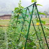 Max Nylon Trellis Netting Plant Support for Climbing Plants  180x270cm