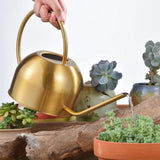 Max Maxb Long Spout Watering Can  Stainless Steel Watering Pot 1.5L