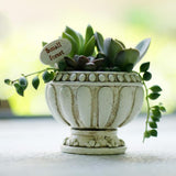 Max European micro landscape imitation multi-material mini succulent plant pot A