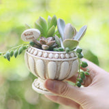 Max European micro landscape imitation multi-material mini succulent plant pot A