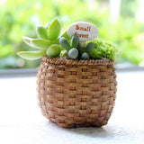 Max European micro landscape imitation multi-material mini succulent plant pot B