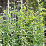 Max Heavy-duty Plant Trellis Netting Vines Plants Climbing Net 1.67 x 10m