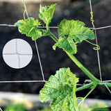 Max Heavy-duty Plant Trellis Netting Vines Plants Climbing Net 1.67 x 5m