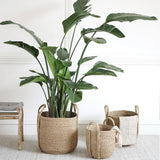 Max Natural Straw Woven Flower Pot Basket Green Plant Holder Cloth Hamper S