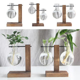 Max Test Tube Flower Vase Wooden Stand for Hydroponic Plant Stand with 1 Vase