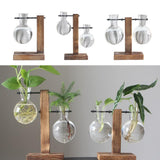 Max Test Tube Flower Vase Wooden Stand for Hydroponic Plant Stand with 1 Vase