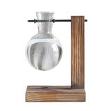 Max Test Tube Flower Vase Wooden Stand for Hydroponic Plant Stand with 1 Vase