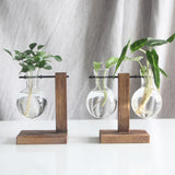 Max Test Tube Flower Vase Wooden Stand for Hydroponic Plant Stand with 1 Vase