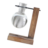 Max Test Tube Flower Vase Wooden Stand for Hydroponic Plant Stand with 1 Vase
