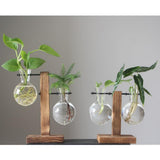 Max Test Tube Flower Vase Wooden Stand for Hydroponic Plant Stand with 2 Vase(A)