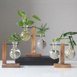 Max Test Tube Flower Vase Wooden Stand for Hydroponic Plant Stand with 2 Vase(B)