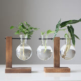 Max Test Tube Flower Vase Wooden Stand for Hydroponic Plant Stand with 2 Vase(B)