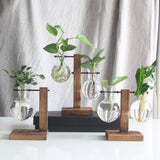 Max Test Tube Flower Vase Wooden Stand for Hydroponic Plant Stand with 2 Vase(B)
