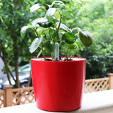 Max 7''Self Watering Planter with Water Level Gauge Decorative Flower Pot Red