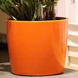 Max 7''Self Watering Planter with Water Level Gauge Decorative Flower Pot Orange