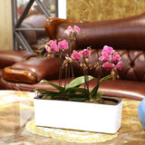 Max Plastic Rectangular Self Watering Flowerpot with Water Level Gauge White