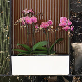 Max Plastic Rectangular Self Watering Flowerpot with Water Level Gauge White