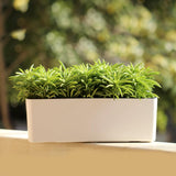 Max Plastic Rectangular Self Watering Flowerpot with Water Level Gauge White