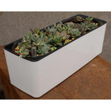 Max Plastic Rectangular Self Watering Flowerpot with Water Level Gauge White