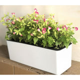 Max Plastic Rectangular Self Watering Flowerpot with Water Level Gauge White