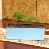 Max Plastic Rectangular Self Watering Flowerpot with Water Level Gauge Blue