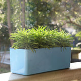 Max Plastic Rectangular Self Watering Flowerpot with Water Level Gauge Blue