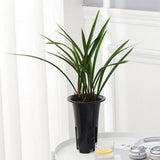 Max Maxb Plastic Plant Pots Garden Flower Pots Planters for Orchid S